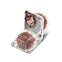 Eti Puf Cocoa Biscuit 18 g
